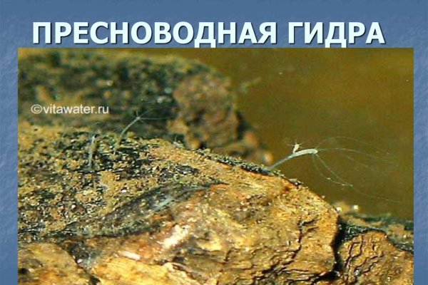 Кракен перейти