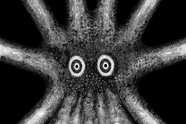 Kraken onion link