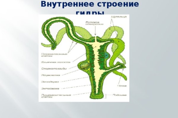 Кракен официальная ссылка vtor run