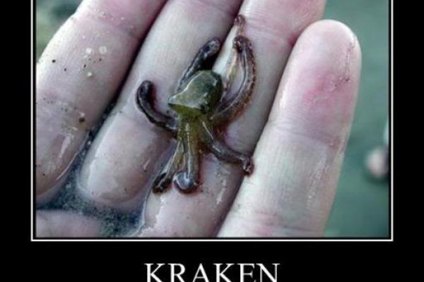 Kraken marketplace