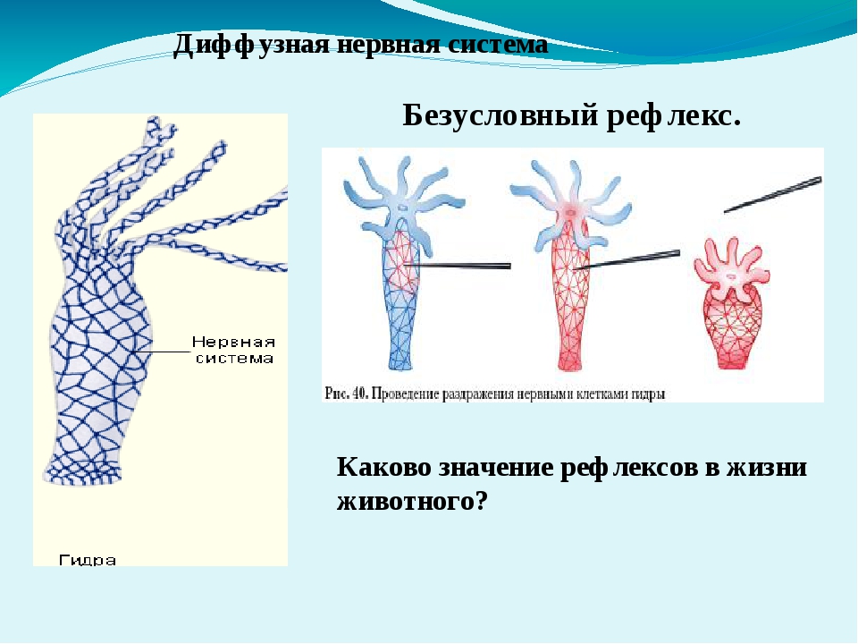 Kraken сайт даркнет